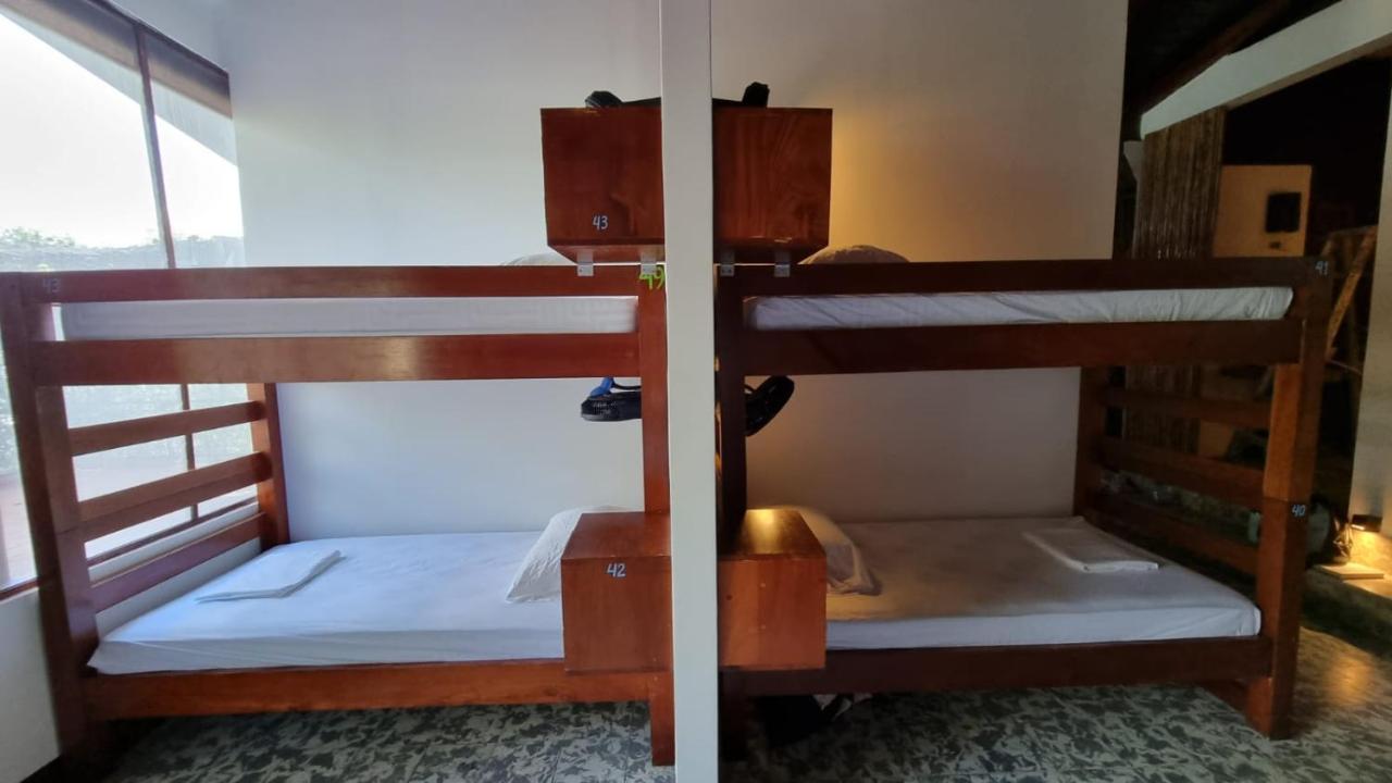Paradiso Hostel La Laguna Ngoại thất bức ảnh