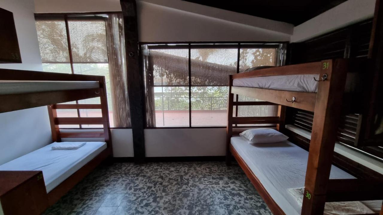 Paradiso Hostel La Laguna Ngoại thất bức ảnh